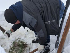 Отбор монолита на состояние перезимовки озимой пшеницы